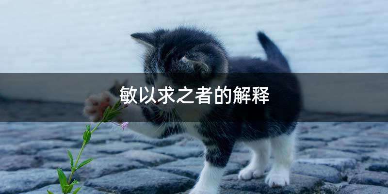 敏以求之者的解释