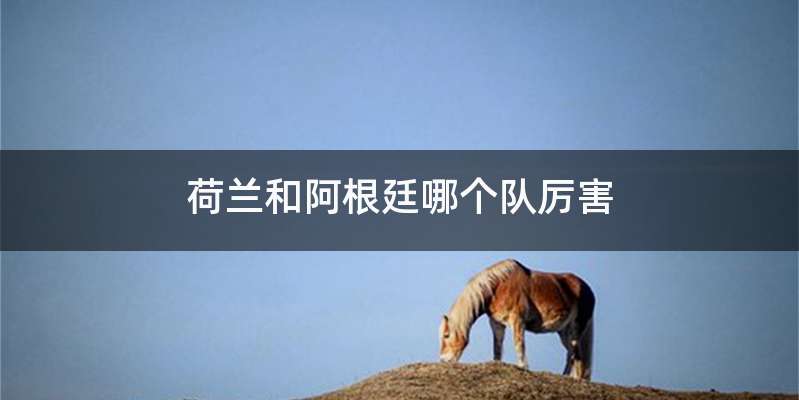 荷兰和阿根廷哪个队厉害