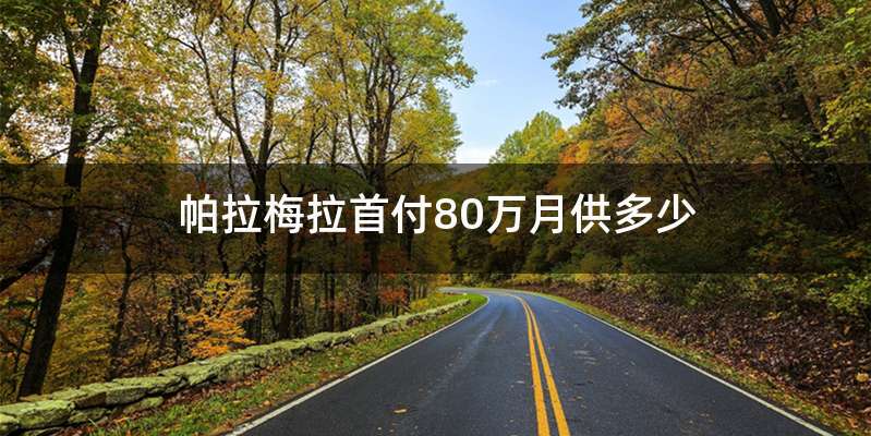 帕拉梅拉首付80万月供多少