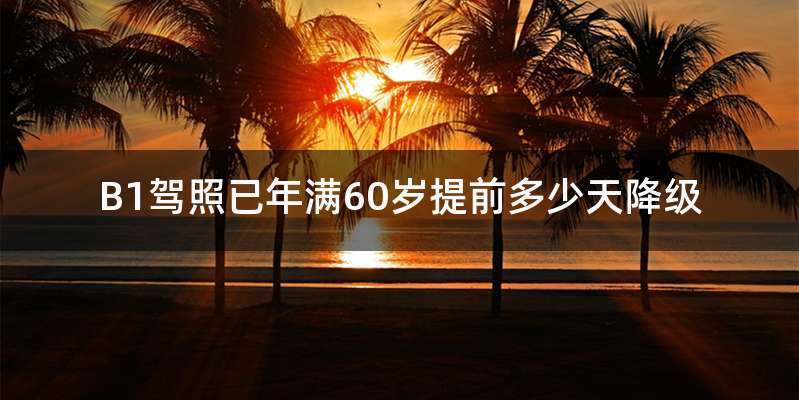 B1驾照已年满60岁提前多少天降级