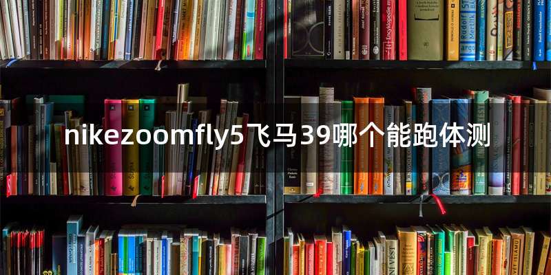 nikezoomfly5飞马39哪个能跑体测