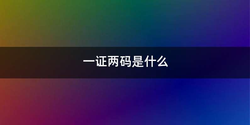一证两码是什么