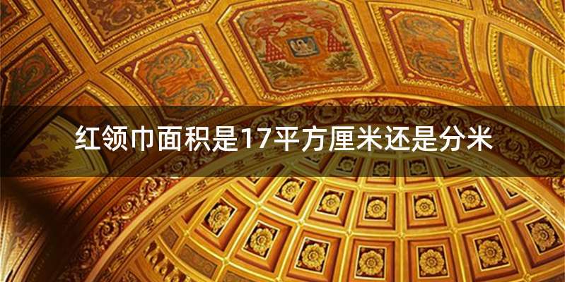 红领巾面积是17平方厘米还是分米