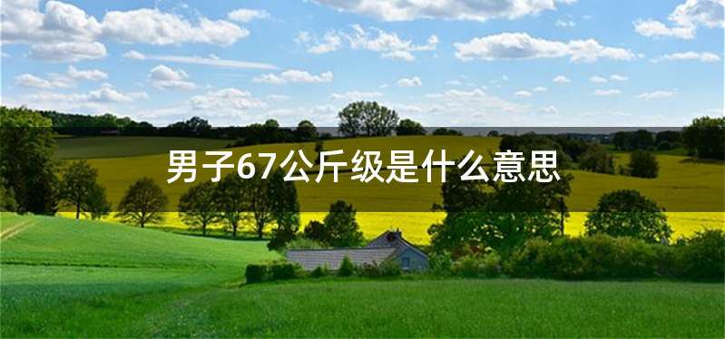 男子67公斤级是什么意思