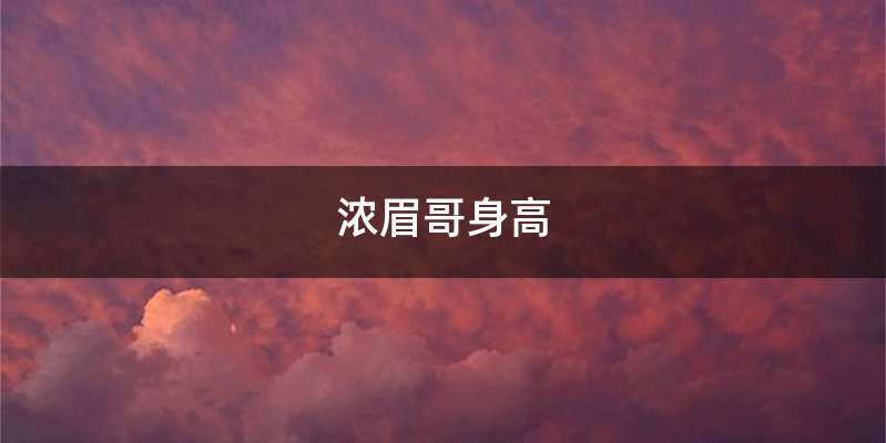 浓眉哥身高