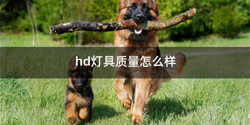 hd灯具质量怎么样