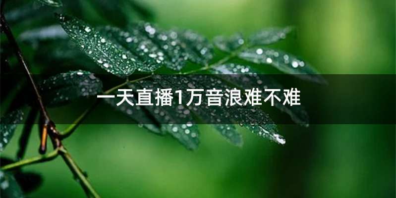 一天直播1万音浪难不难
