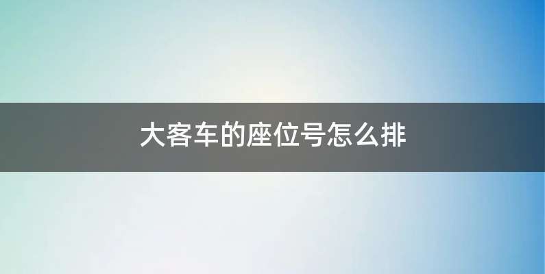 大客车的座位号怎么排