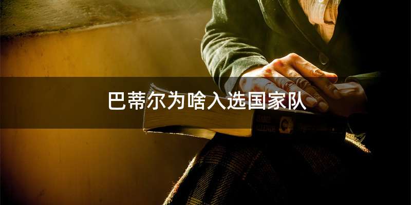 巴蒂尔为啥入选国家队