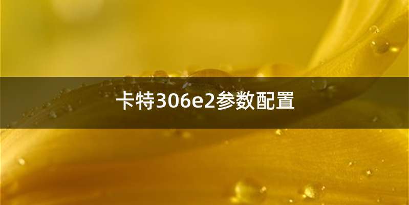 卡特306e2参数配置