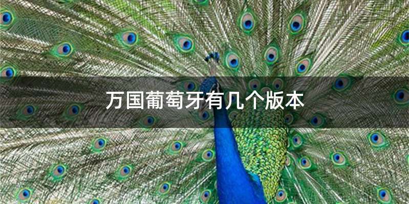 万国葡萄牙有几个版本
