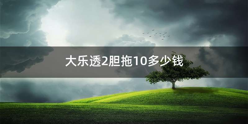 大乐透2胆拖10多少钱
