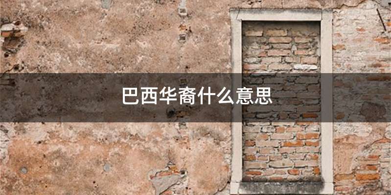 巴西华裔什么意思