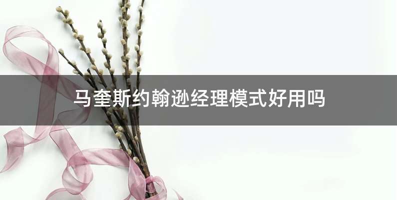 马奎斯约翰逊经理模式好用吗