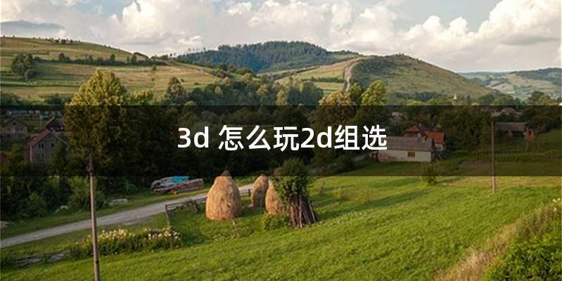 3d 怎么玩2d组选