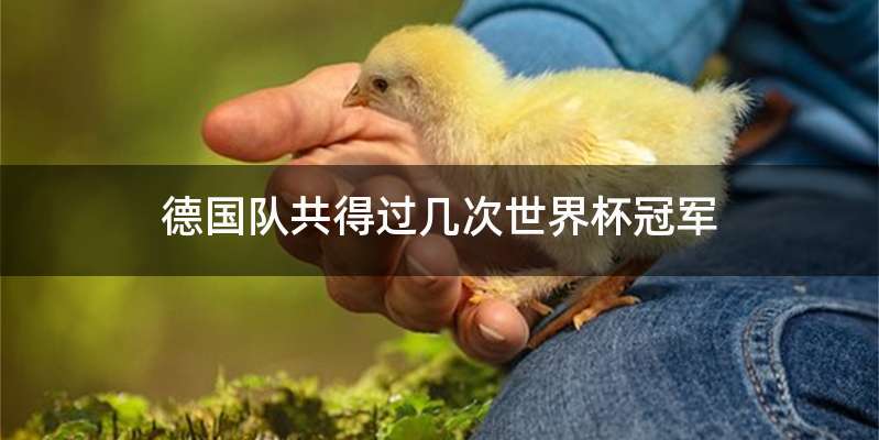 德国队共得过几次世界杯冠军