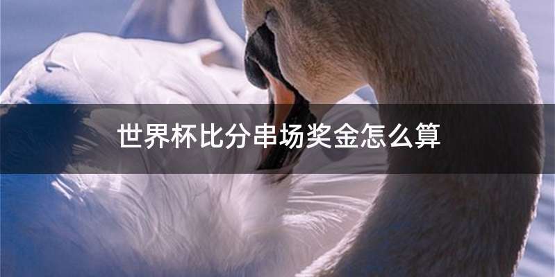 世界杯比分串场奖金怎么算