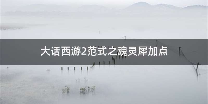 大话西游2范式之魂灵犀加点