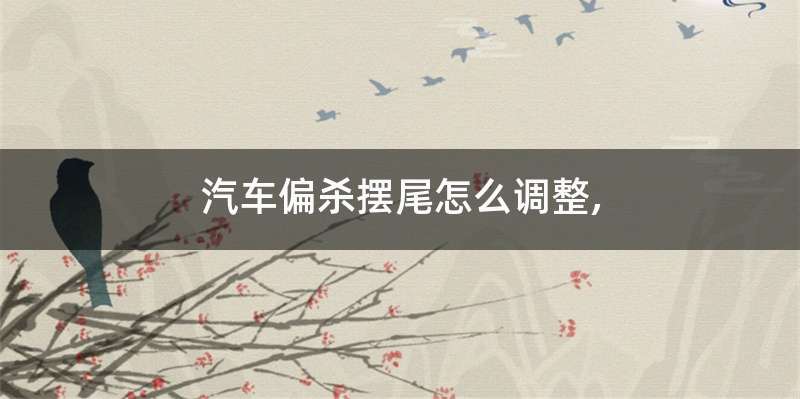 汽车偏杀摆尾怎么调整,