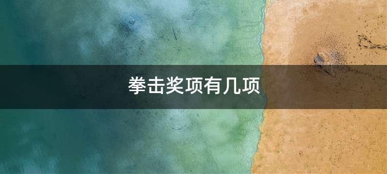 拳击奖项有几项