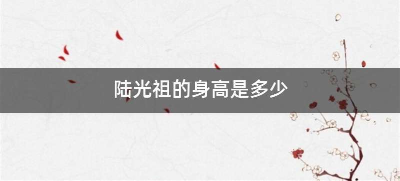 陆光祖的身高是多少
