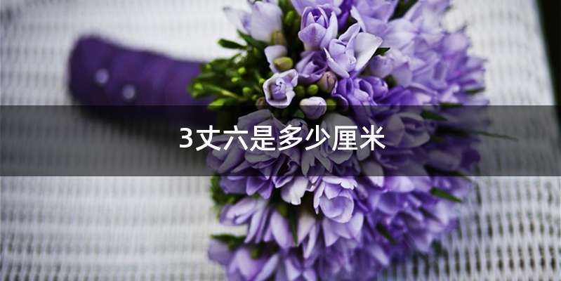 3丈六是多少厘米
