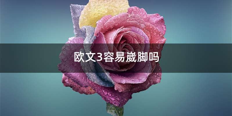 欧文3容易崴脚吗