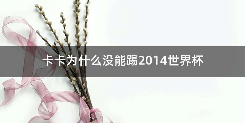 卡卡为什么没能踢2014世界杯