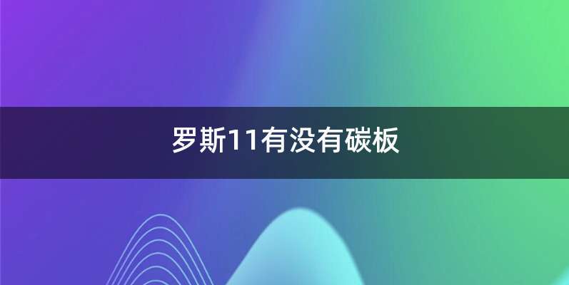 罗斯11有没有碳板