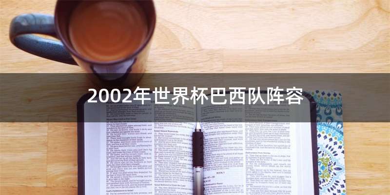 2002年世界杯巴西队阵容