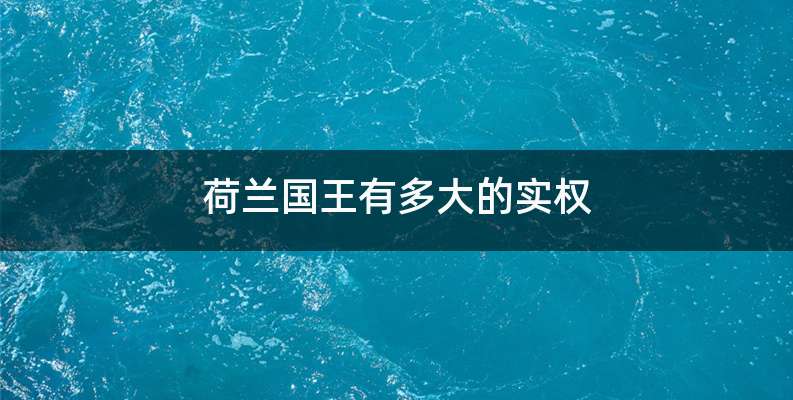 荷兰国王有多大的实权