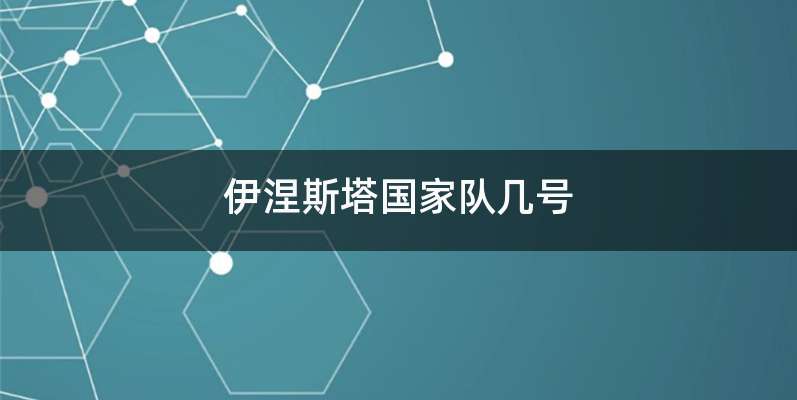 伊涅斯塔国家队几号