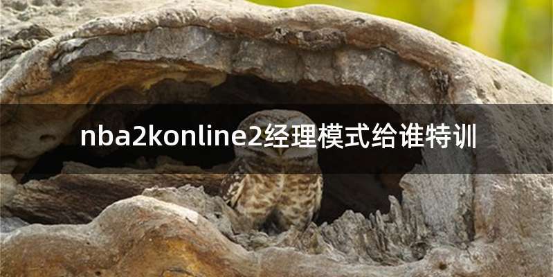 nba2konline2经理模式给谁特训