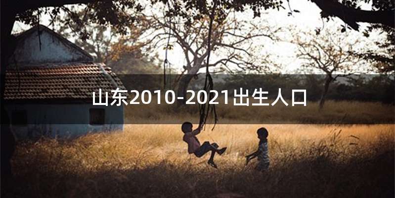 山东2010-2021出生人口