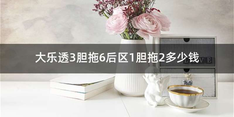大乐透3胆拖6后区1胆拖2多少钱