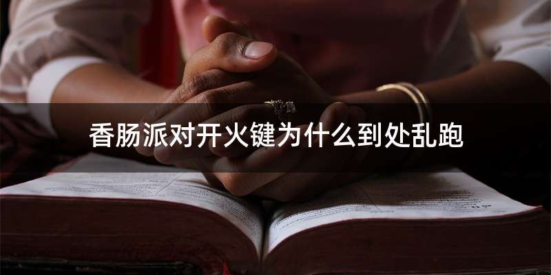 香肠派对开火键为什么到处乱跑