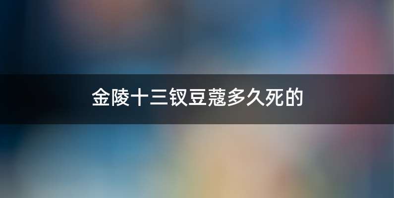 金陵十三钗豆蔻多久死的
