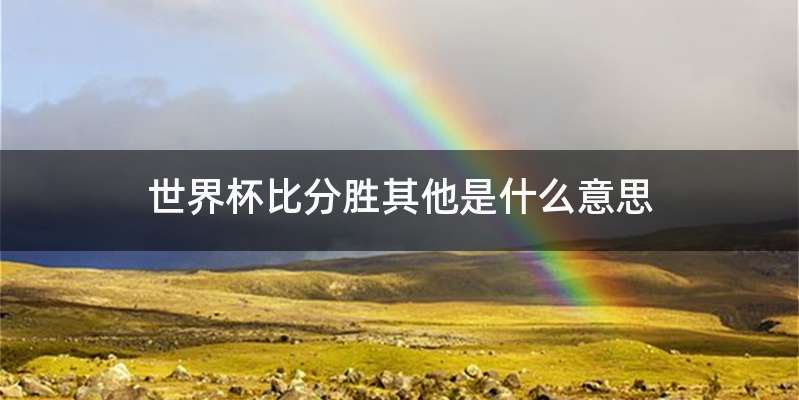 世界杯比分胜其他是什么意思