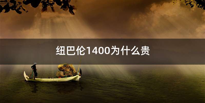 纽巴伦1400为什么贵