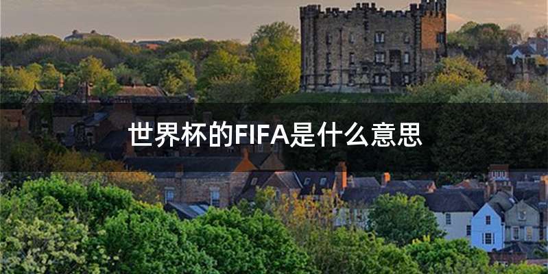 世界杯的FIFA是什么意思