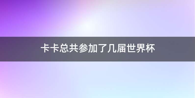 卡卡总共参加了几届世界杯