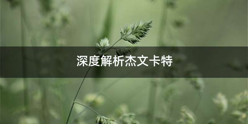 深度解析杰文卡特