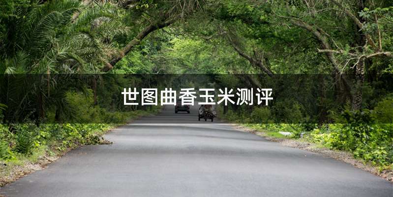 世图曲香玉米测评