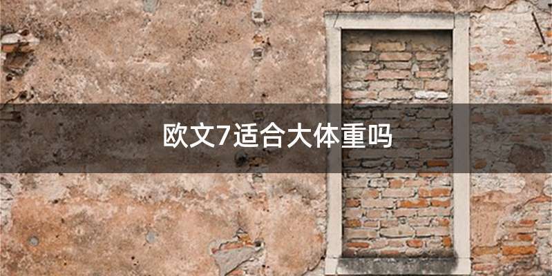 欧文7适合大体重吗