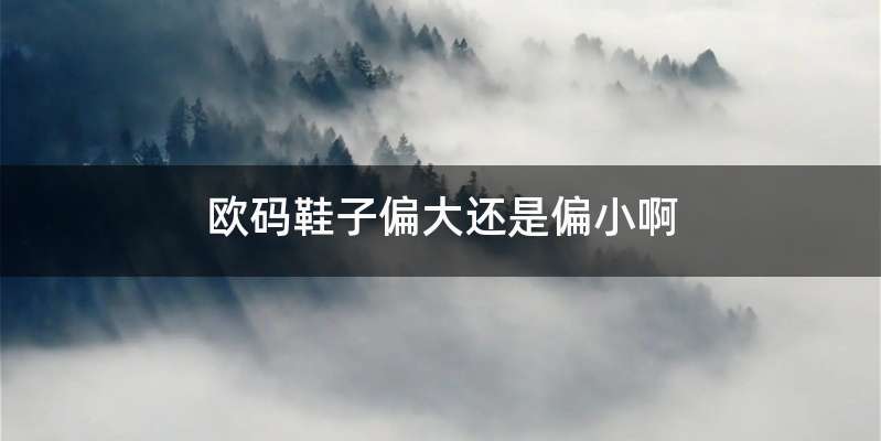 欧码鞋子偏大还是偏小啊