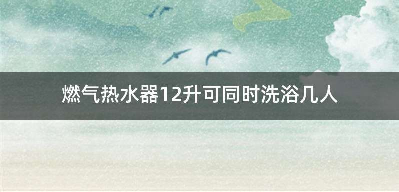 燃气热水器12升可同时洗浴几人