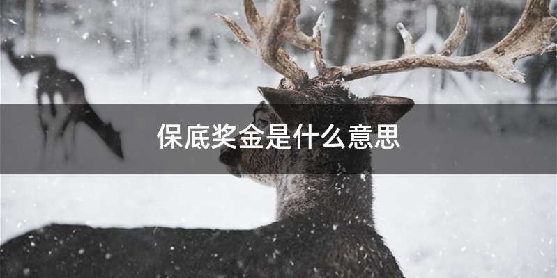 保底奖金是什么意思