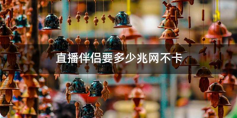 直播伴侣要多少兆网不卡