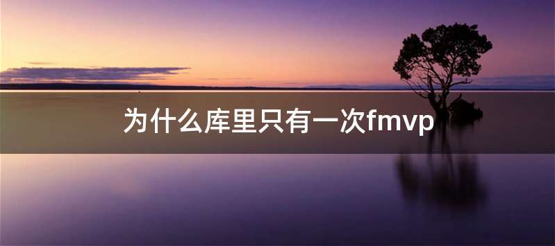 为什么库里只有一次fmvp