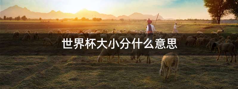 世界杯大小分什么意思